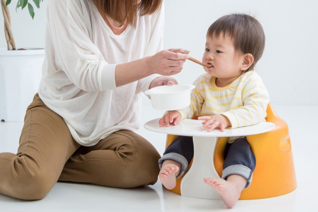 発酵食品　離乳食